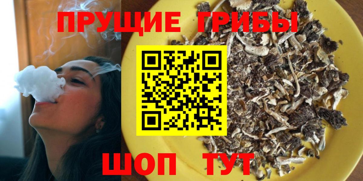 Галлюциногенные грибы Psilocybe  Псилоцибиновые грибы Cubensis  Вход с VPN  Азнакаево 